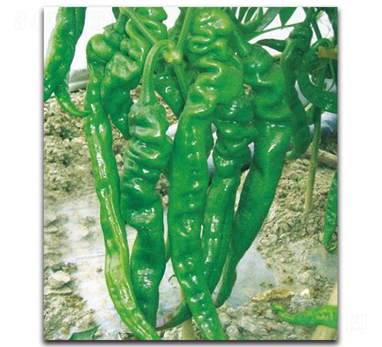 �ݽ�һ̖(h��o)-�����N��-�Є�(chu��ng)���S