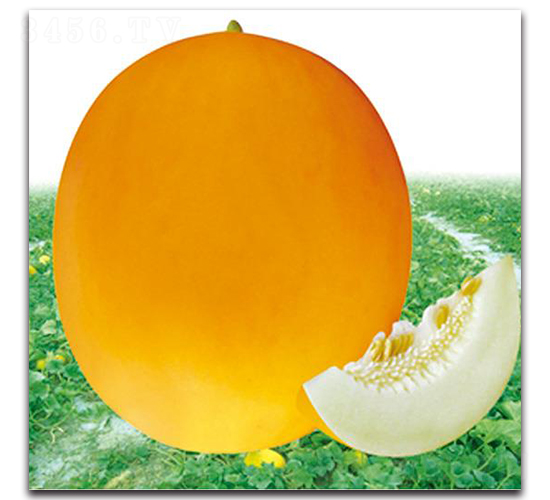 �t��-��ϷN��-�Є�(chu��ng)���S