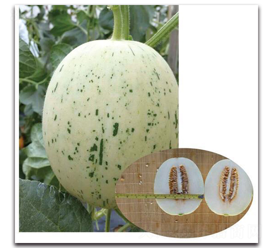 ��������-��ϷN��-�Є�(chu��ng)���S