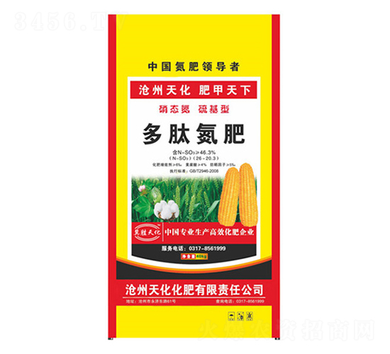 ���ĵ���-�컯�ʘI(y��)