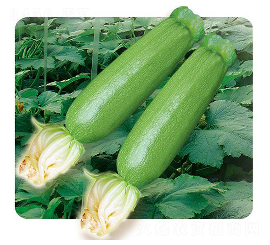 ����-�����J�N��-�Є�(chu��ng)���S