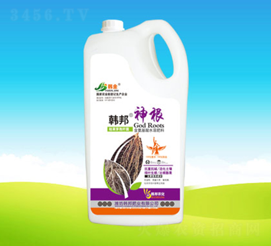 �n�����-�n��ʘI(y��)