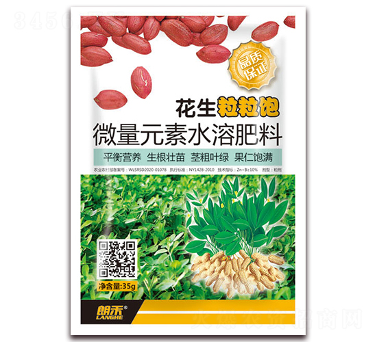 ���������-�ʺ�-���A����