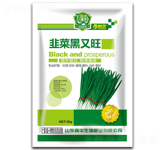 �²˺�����-�ʺ�-���A����