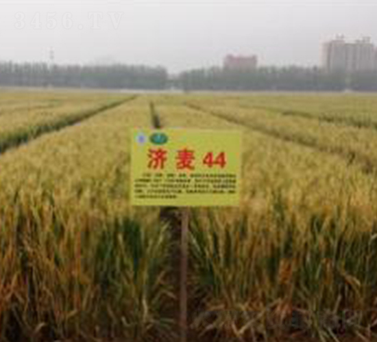 ����44-С���N��-�����r(n��ng)�I(y��)