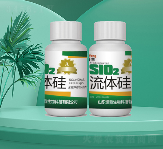 ���w��-�㶦����