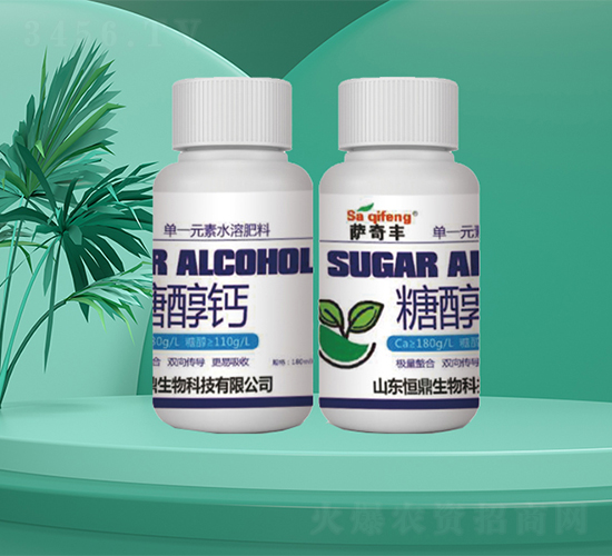 �Ǵ��}-�㶦����