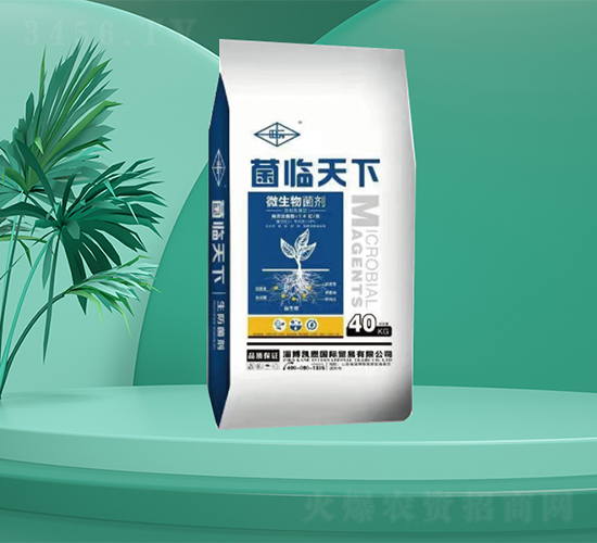 ΢�������-���R����-�㶦����