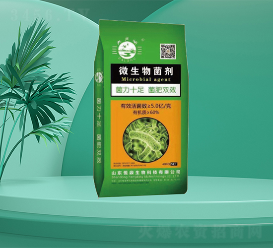 40kg΢�������-�㶦����