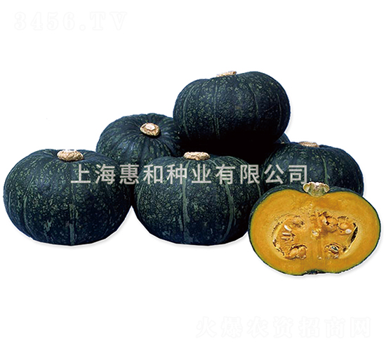 Ц��-�ϹϷN��-�ݺͷN�I(y��)