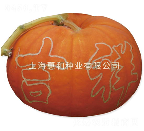 �޸�-�ϹϷN��-�ݺͷN�I(y��)