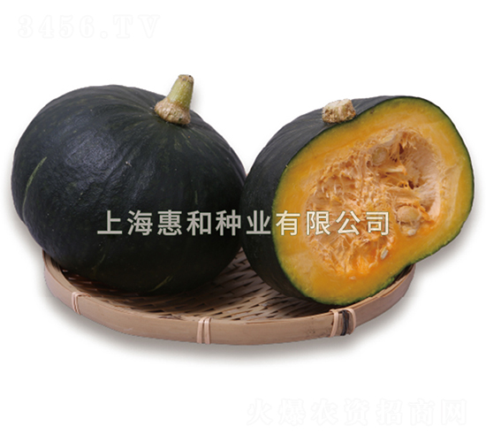 ����-�ϹϷN��-�ݺͷN�I(y��)