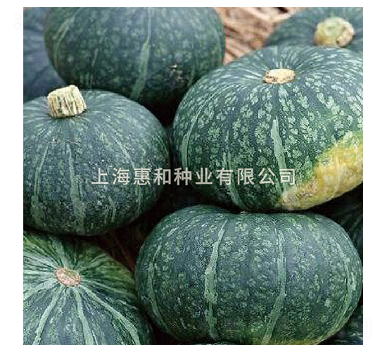 ���S-�ϹϷN��-�ݺͷN�I(y��)