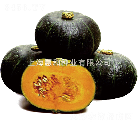 ζƽ-�ϹϷN��-�ݺͷN�I(y��)