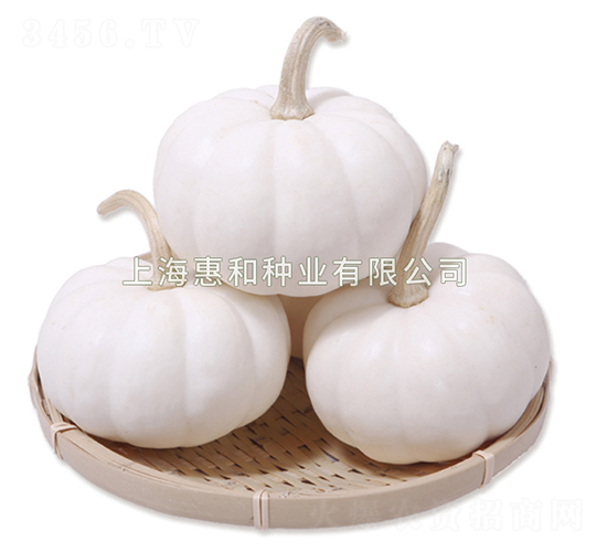 �����-�ϹϷN��-�ݺͷN�I(y��)