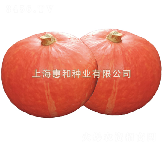 ����-�ϹϷN��-�ݺͷN�I(y��)