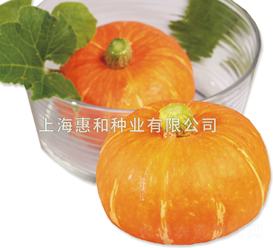 ����-�ϹϷN��-�ݺͷN�I(y��)