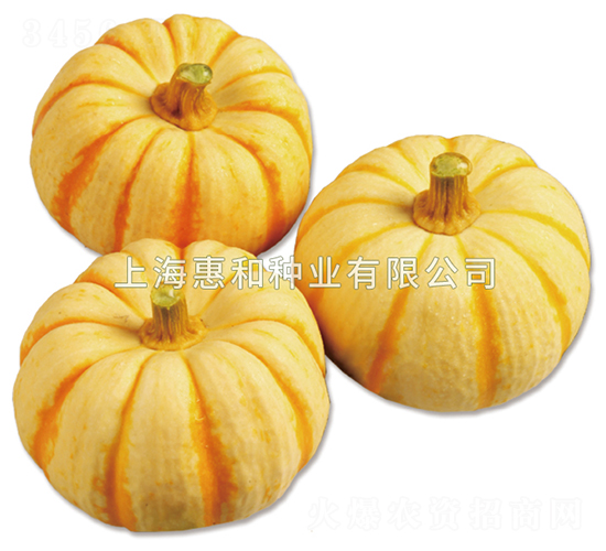 �۹�-�ϹϷN��-�ݺͷN�I(y��)