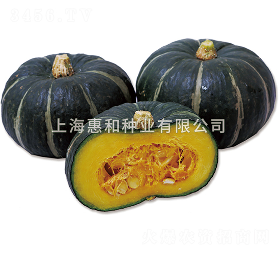 ؐؐ��̖-�ϹϷN��-�ݺͷN�I(y��)