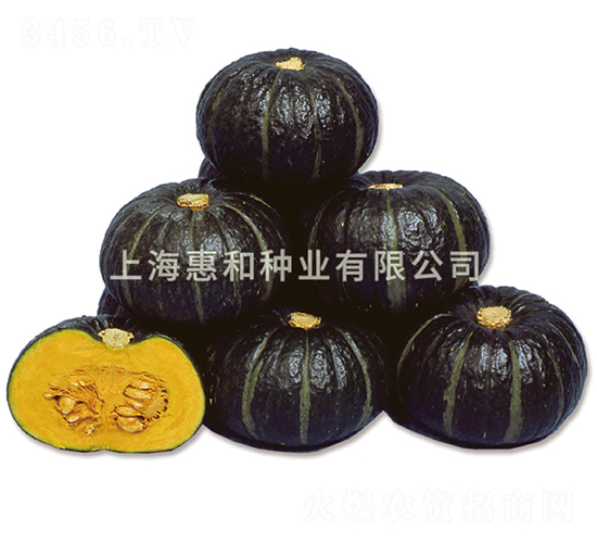 ؐؐ��̖-�ϹϷN��-�ݺͷN�I(y��)