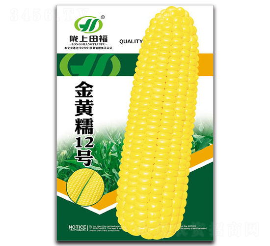 ���SŴ12̖-���׷N��-�︣�r(n��ng)�I(y��)