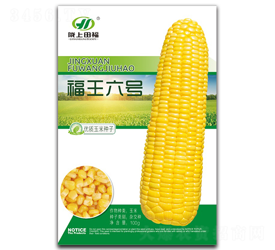 ����6̖(h��o)-���׷N��-�︣�r(n��ng)�I(y��)