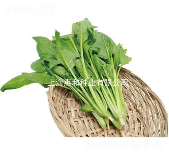 �G��75-���˷N��-�ݺͷN�I(y��)