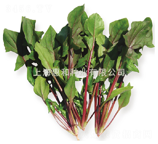 �tɏ��-���˷N��-�ݺͷN�I(y��)