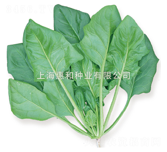 �r�G��̖-���˷N��-�ݺͷN�I(y��)