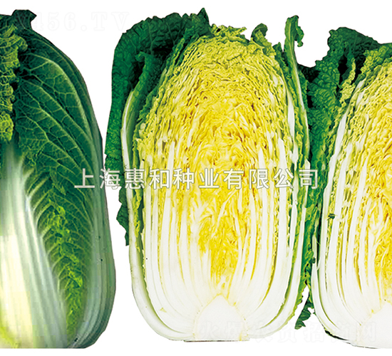 ����֮��-�ײ˷N��-�ݺͷN�I(y��)