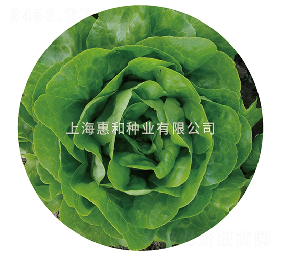 �G��-���˷N��-�ݺͷN�I(y��)