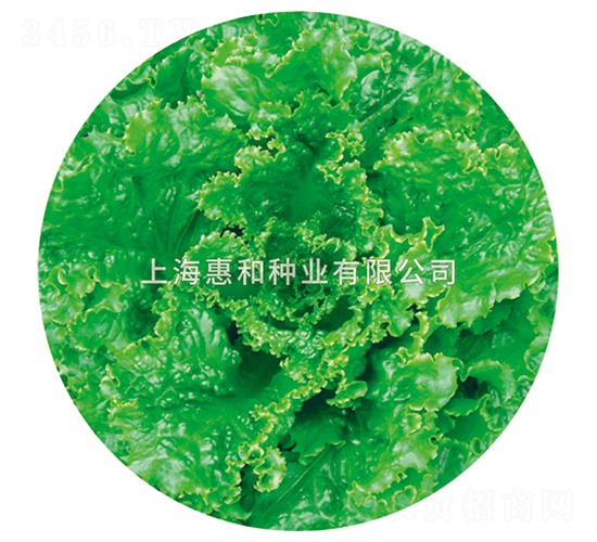 ������-���˷N��-�ݺͷN�I(y��)