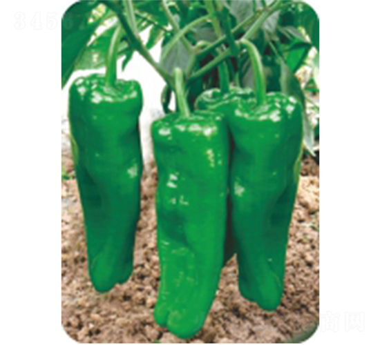 ���r(n��ng)808-�����N��-�����r(n��ng)�I(y��)