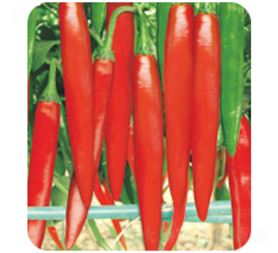 �t����404-�����N��-�����r(n��ng)�I(y��)