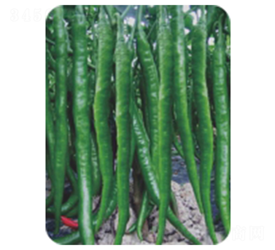 �L�S2̖-�����N��-�����r(n��ng)�I(y��)