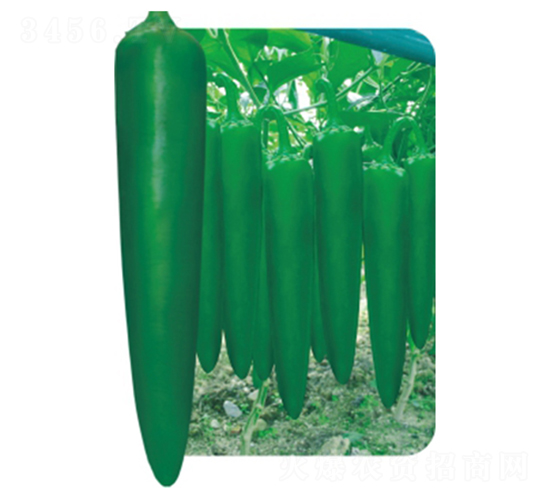 �L(zh��ng)��2̖(h��o)-�����N��-�����r(n��ng)�I(y��)