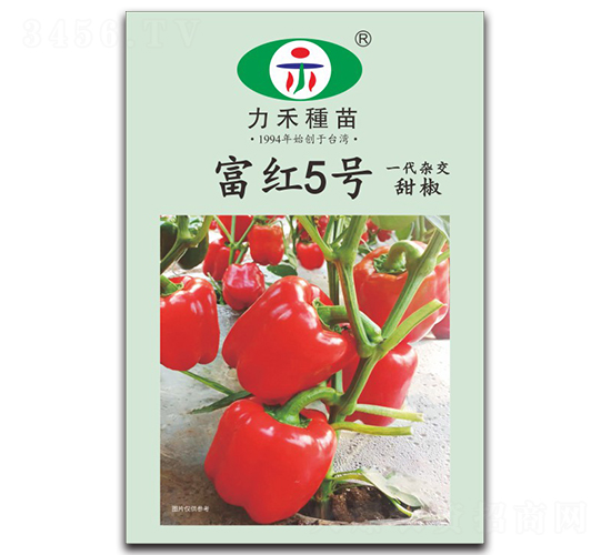 ���t5̖-�����N��-�����r�I(y��)