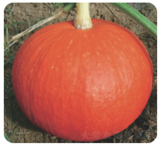 ��tϲ889-�ϹϷN��-�����r(n��ng)�I(y��)