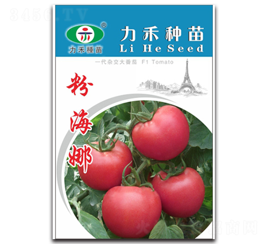 �ۺ���-���ѷN��-�����r(n��ng)�I(y��)