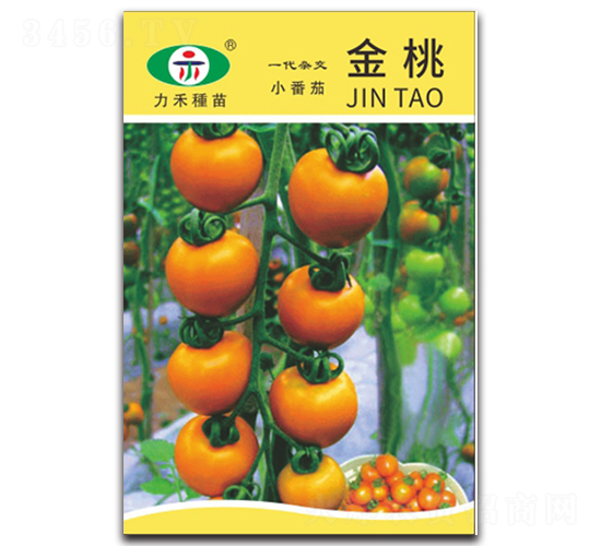 ����-���ѷN��-�����r(n��ng)�I(y��)