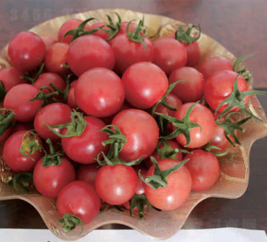 ����1̖(h��o)-���ѷN��-�����r(n��ng)�I(y��)