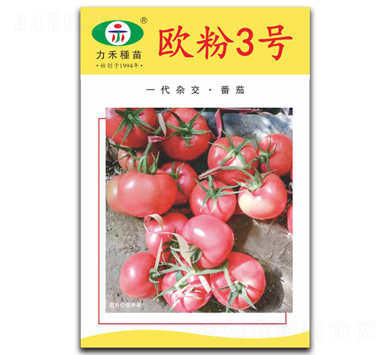 �W��3̖-���ѷN��-�����r(n��ng)�I(y��)