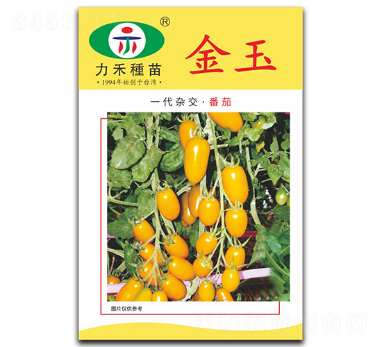 ����-���ѷN��-�����r(n��ng)�I(y��)