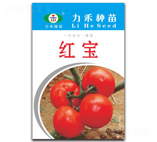 �t��-���ѷN��-�����r(n��ng)�I(y��)