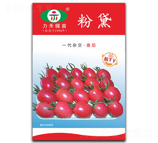 ����-���ѷN��-�����r(n��ng)�I(y��)