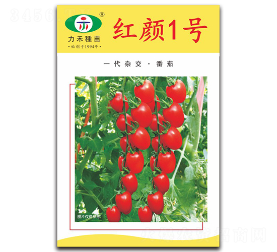 �t�1̖-���ѷN��-�����r(n��ng)�I(y��)