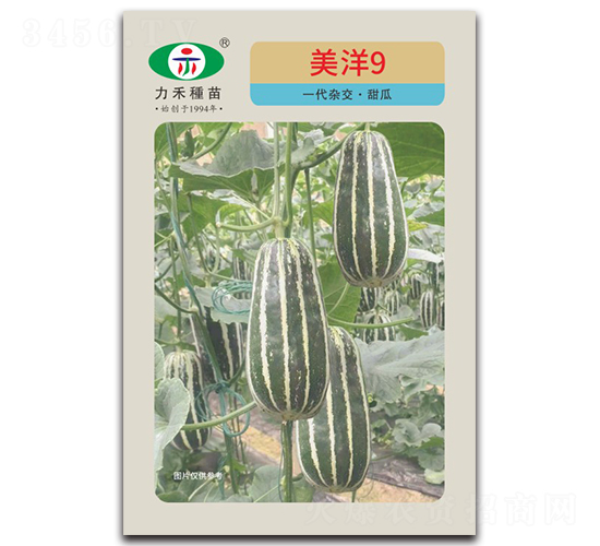 ����9-��ϷN��-�����r(n��ng)�I(y��)