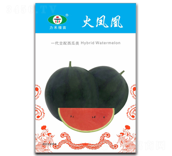 ���P��-���ϷN��-�����r(n��ng)�I(y��)