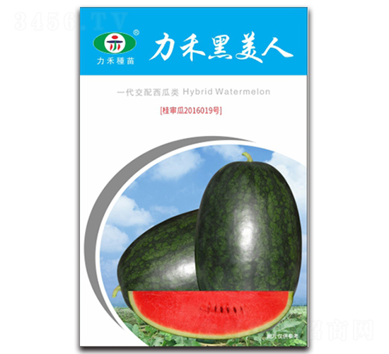 ���̺�����-���ϷN��-�����r(n��ng)�I(y��)