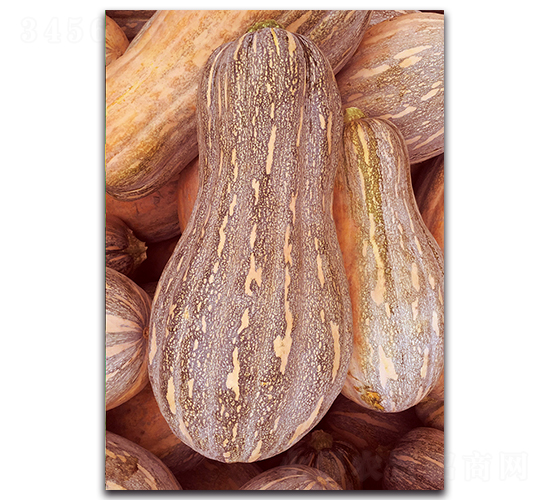 ������-�ϹϷN��-�������r(n��ng)�I(y��)